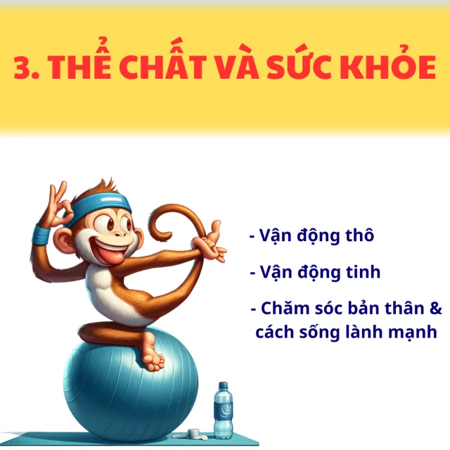 Tranh minh hoạ lĩnh vực Thể chất & sức khoẻ