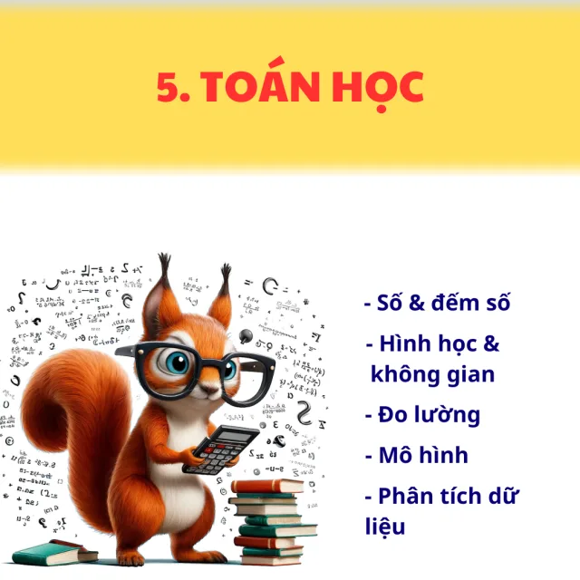 Tranh minh hoạ lĩnh vực Toán học